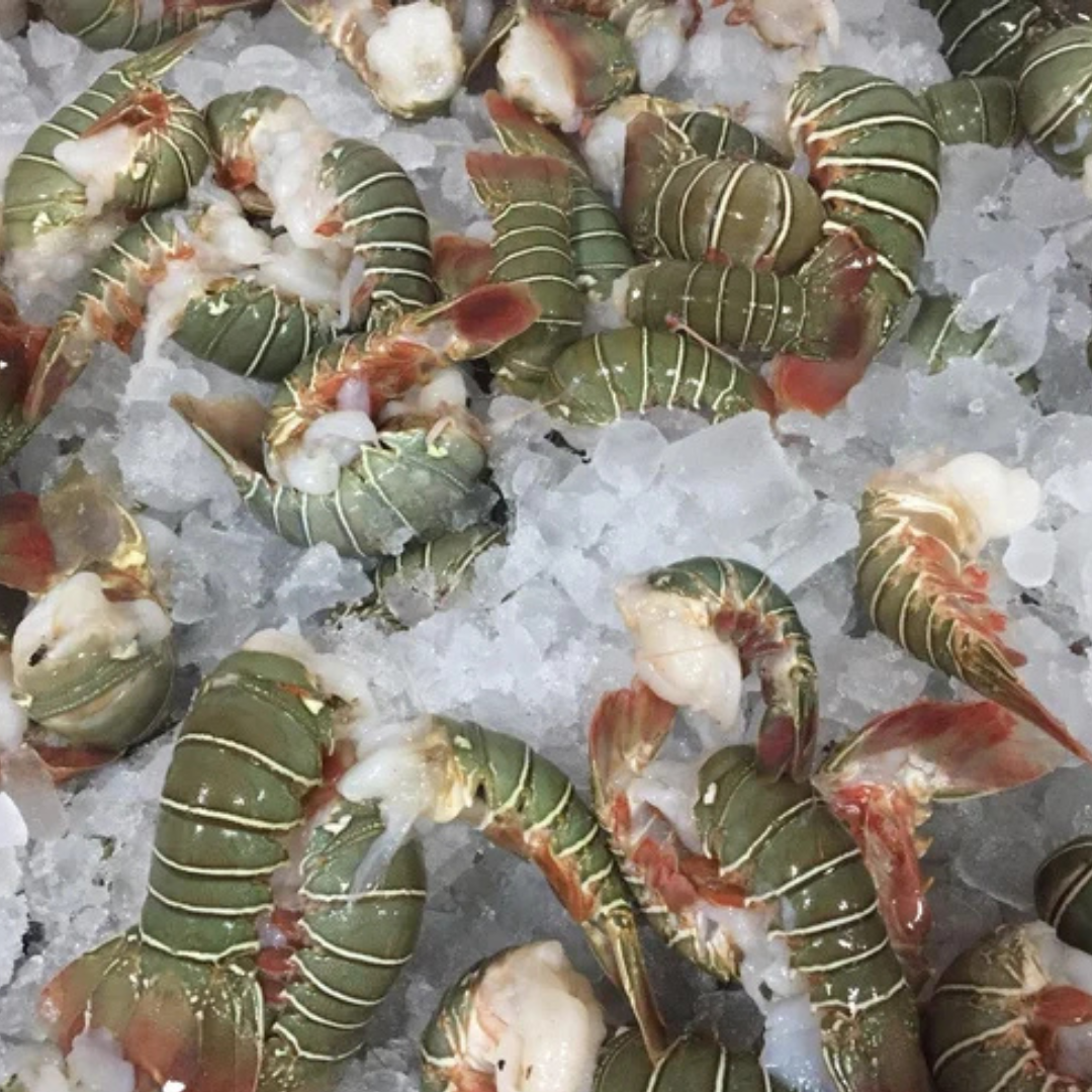 Vannamei Frozen Prawns Supplier in Mumbai